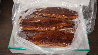 угорь 15-17 Китай